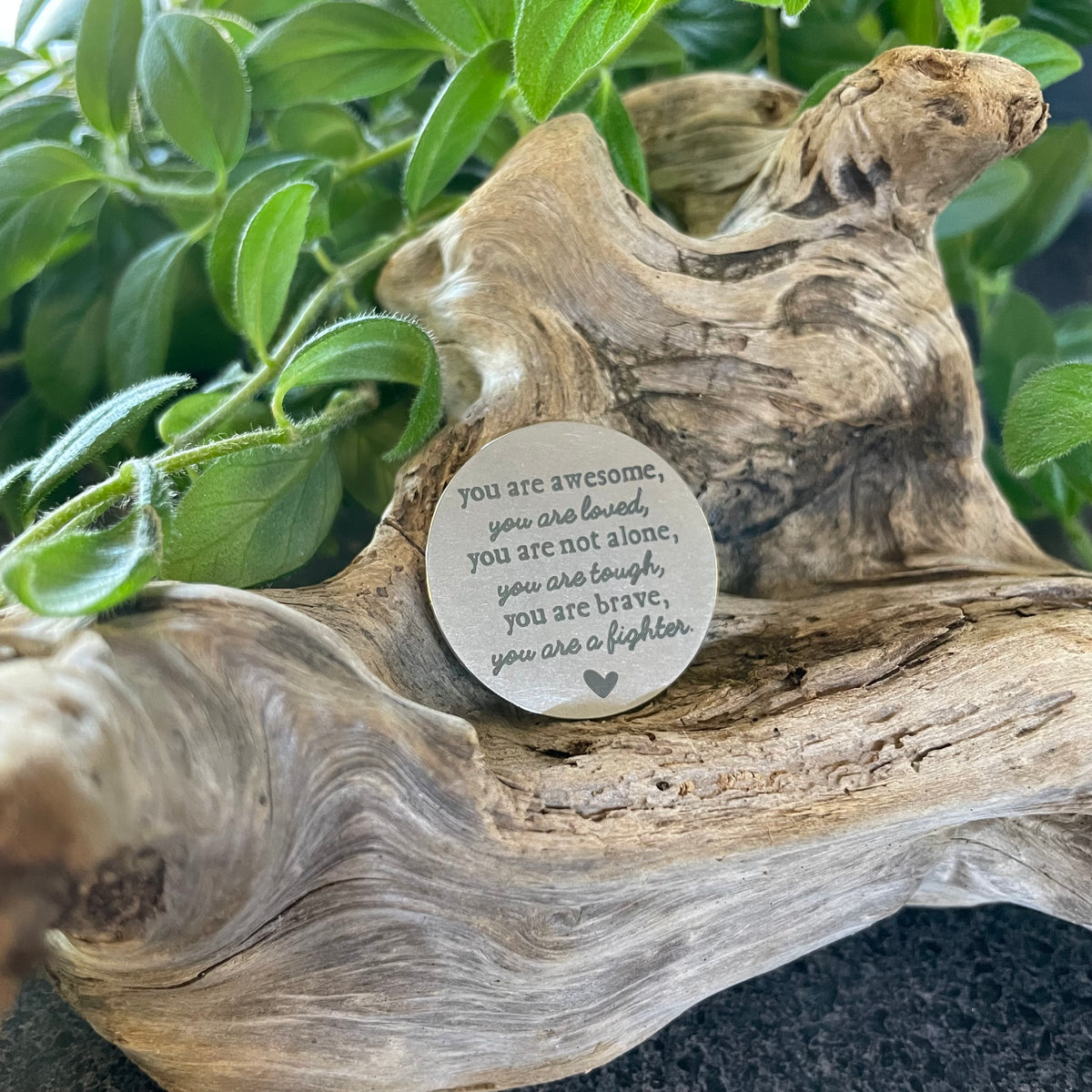 Pocket Hug Coin – The Whispering Tree Inc.