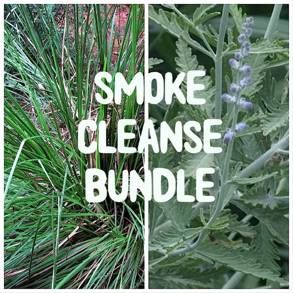 Smoke Cleanse - Live Plant Bundle