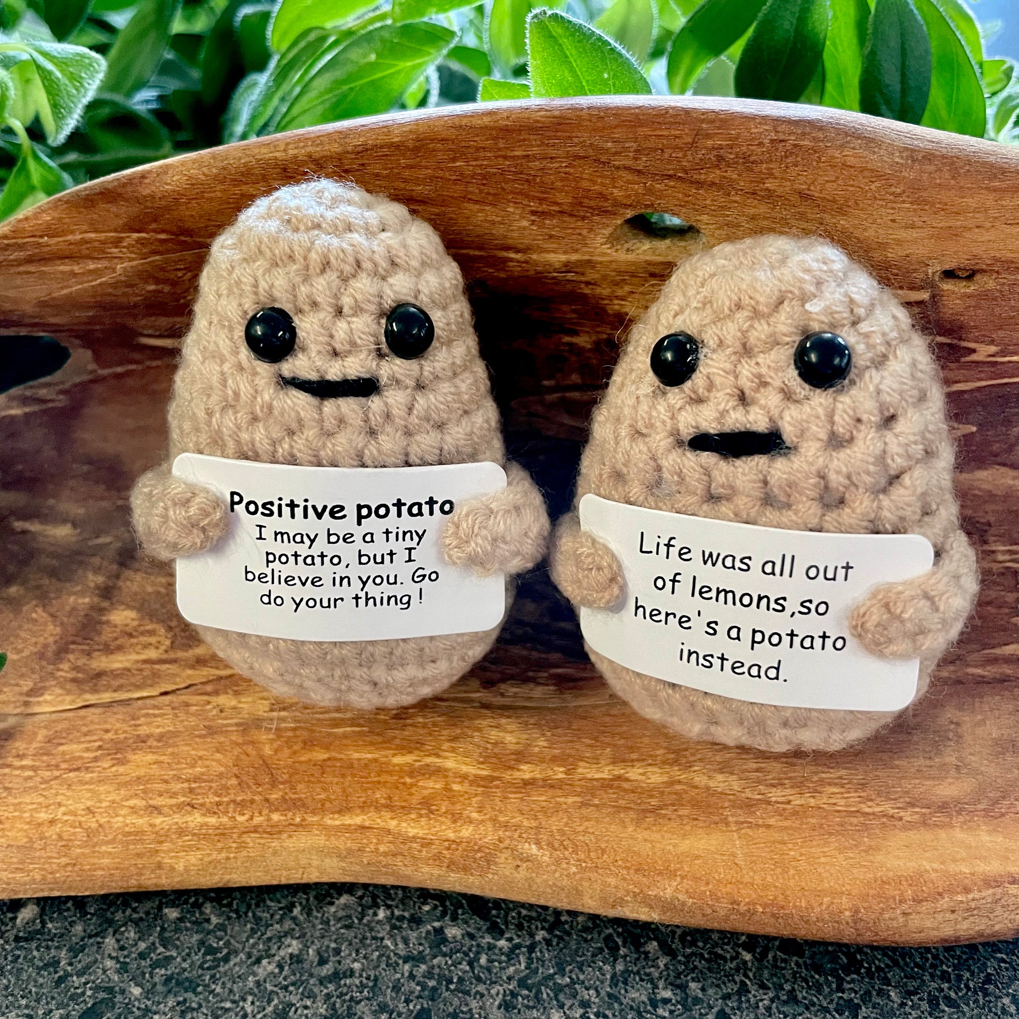 Positive Potato – The Whispering Tree Inc.