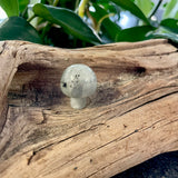 Mini Mushroom - Labradorite