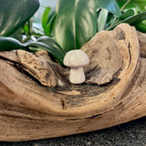Mini Mushroom - Howlite