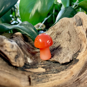 Mini Mushroom - Carnelian