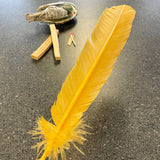 Cleansing Feather
