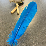 Cleansing Feather